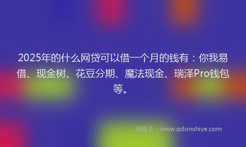 2025年的什么网贷可以借一个月的钱有：你我易借、现金树、花豆分期、魔法现金、瑞泽Pro钱包等。