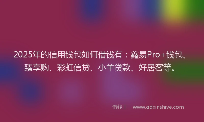 2025年的信用钱包如何借钱有：鑫易Pro+钱包、臻享购、彩虹信贷、小羊贷款、好居客等。