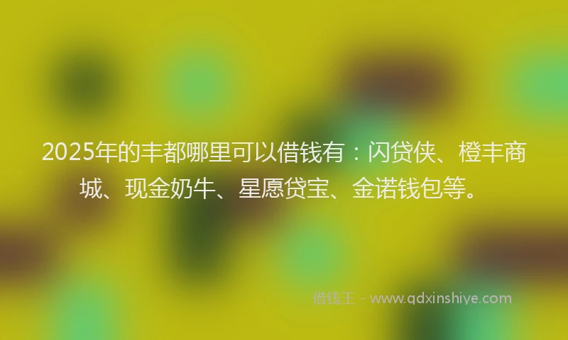 2025年的丰都哪里可以借钱有：闪贷侠、橙丰商城、现金奶牛、星愿贷宝、金诺钱包等。