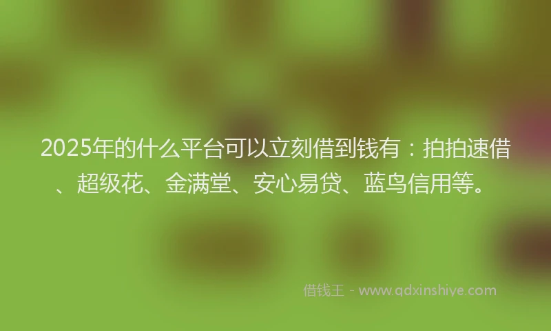2025年的什么平台可以立刻借到钱有：拍拍速借、超级花、金满堂、安心易贷、蓝鸟信用等。