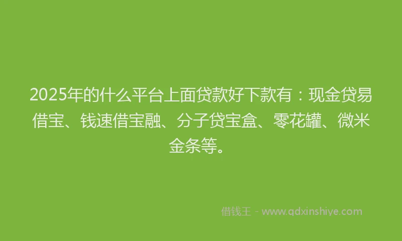 2025年的什么平台上面贷款好下款有：现金贷易借宝、钱速借宝融、分子贷宝盒、零花罐、微米金条等。