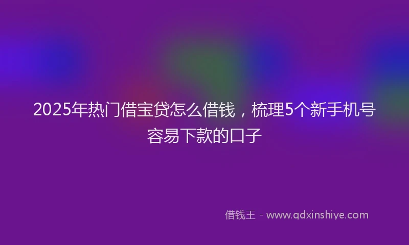 2025年热门借宝贷怎么借钱，梳理5个新手机号容易下款的口子