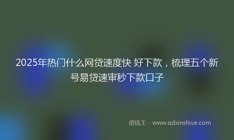 2025年热门什么网贷速度快 好下款，梳理五个新号易贷速审秒下款口子