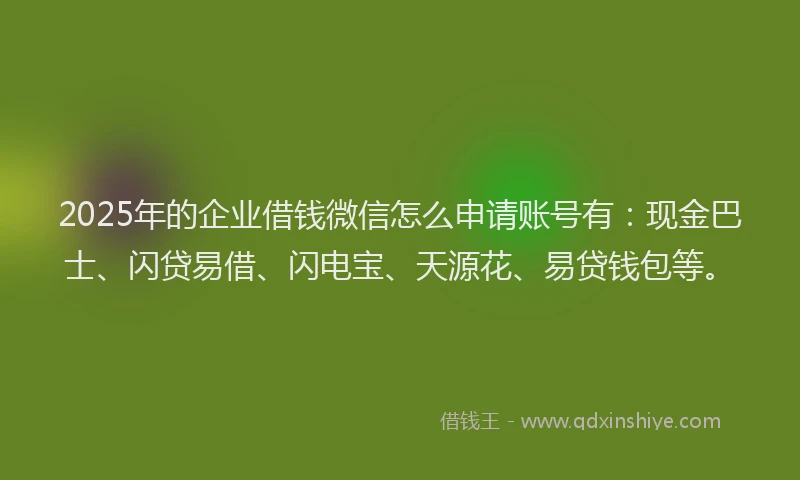 2025年的企业借钱微信怎么申请账号有：现金巴士、闪贷易借、闪电宝、天源花、易贷钱包等。
