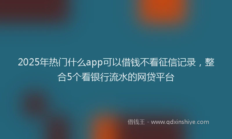2025年热门什么app可以借钱不看征信记录，整合5个看银行流水的网贷平台