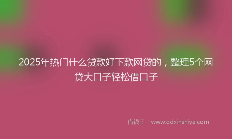 2025年热门什么贷款好下款网贷的，整理5个网贷大口子轻松借口子