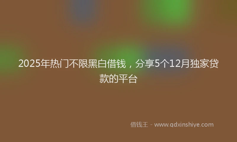 2025年热门不限黑白借钱，分享5个12月独家贷款的平台