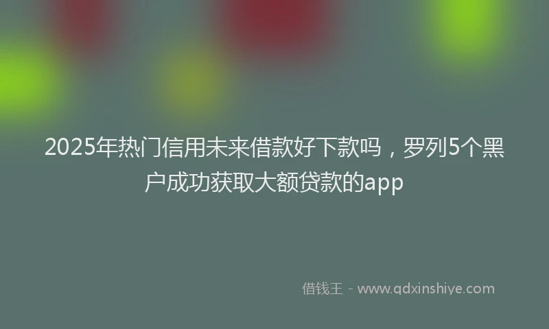 2025年热门信用未来借款好下款吗，罗列5个黑户成功获取大额贷款的app