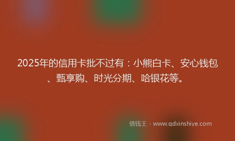 2025年的信用卡批不过有：小熊白卡、安心钱包、甄享购、时光分期、哈银花等。