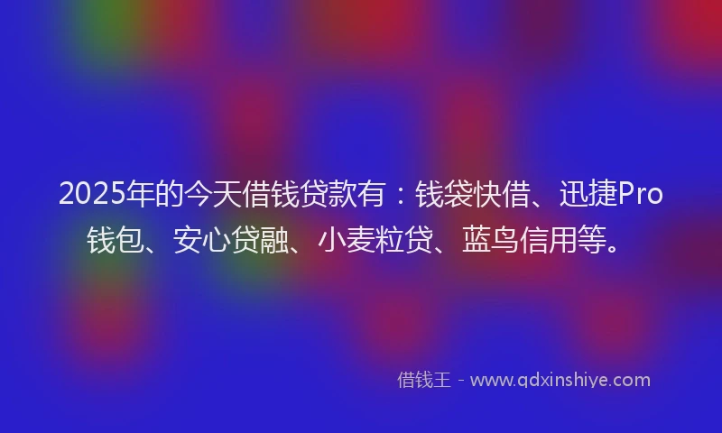 2025年的今天借钱贷款有：钱袋快借、迅捷Pro钱包、安心贷融、小麦粒贷、蓝鸟信用等。