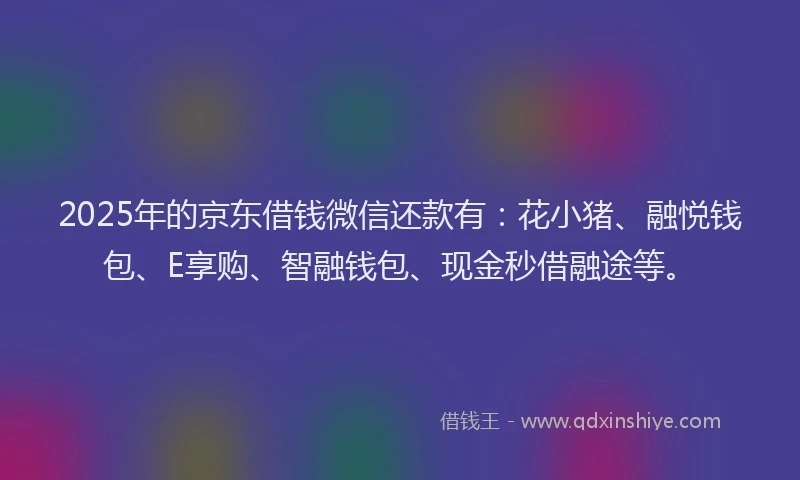 2025年的京东借钱微信还款有：花小猪、融悦钱包、E享购、智融钱包、现金秒借融途等。