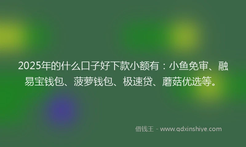 2025年的什么口子好下款小额有：小鱼免审、融易宝钱包、菠萝钱包、极速贷、蘑菇优选等。