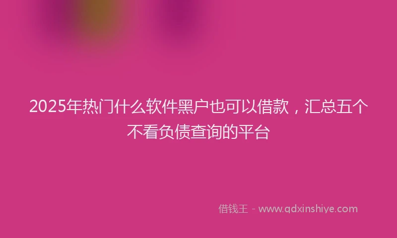 2025年热门什么软件黑户也可以借款，汇总五个不看负债查询的平台