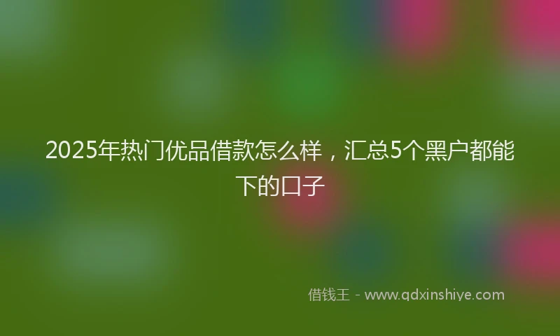2025年热门优品借款怎么样，汇总5个黑户都能下的口子