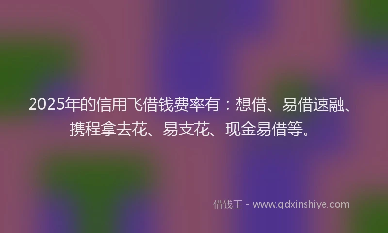 2025年的信用飞借钱费率有：想借、易借速融、携程拿去花、易支花、现金易借等。