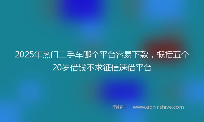 2025年热门二手车哪个平台容易下款，概括五个20岁借钱不求征信速借平台
