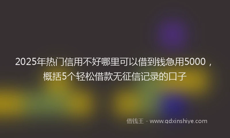 2025年热门信用不好哪里可以借到钱急用5000，概括5个轻松借款无征信记录的口子
