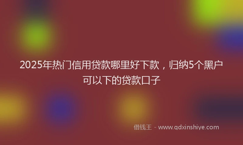 2025年热门信用贷款哪里好下款，归纳5个黑户可以下的贷款口子