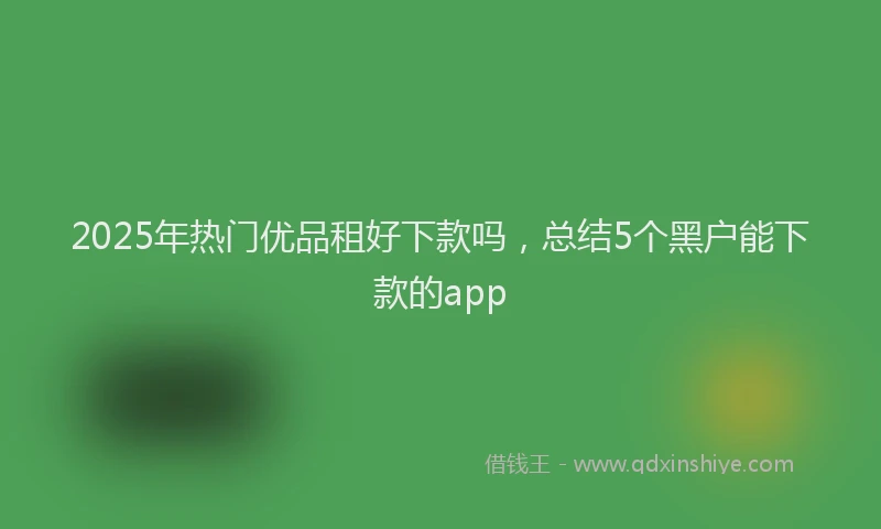2025年热门优品租好下款吗，总结5个黑户能下款的app
