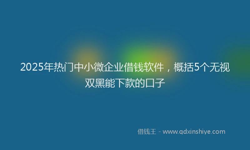 2025年热门中小微企业借钱软件，概括5个无视双黑能下款的口子