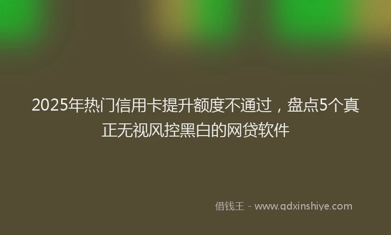 2025年热门信用卡提升额度不通过，盘点5个真正无视风控黑白的网贷软件
