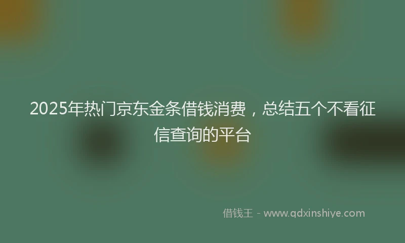 2025年热门京东金条借钱消费，总结五个不看征信查询的平台