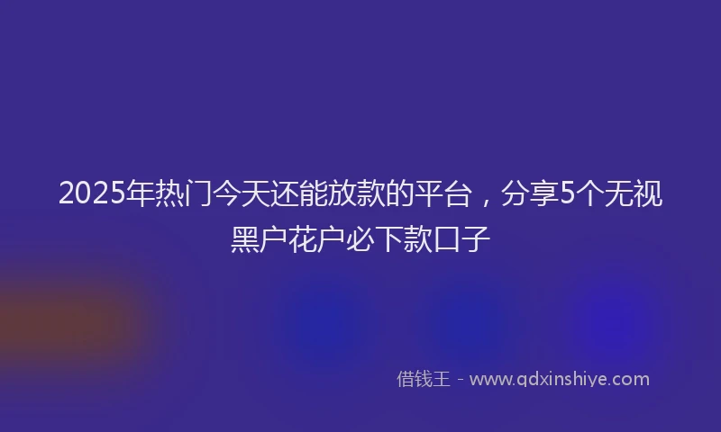 2025年热门今天还能放款的平台，分享5个无视黑户花户必下款口子