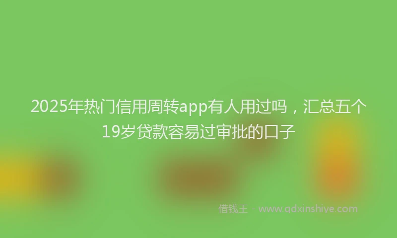 2025年热门信用周转app有人用过吗，汇总五个19岁贷款容易过审批的口子