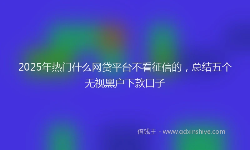 2025年热门什么网贷平台不看征信的，总结五个无视黑户下款口子