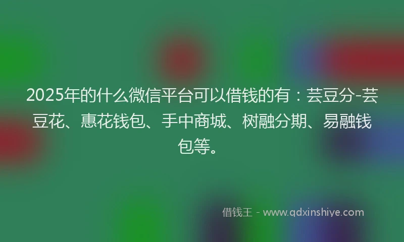 2025年的什么微信平台可以借钱的有：芸豆分-芸豆花、惠花钱包、手中商城、树融分期、易融钱包等。