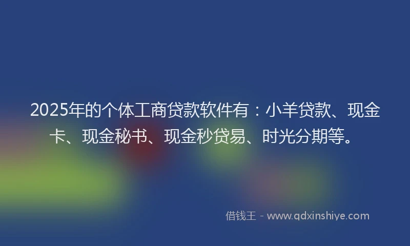 2025年的个体工商贷款软件有：小羊贷款、现金卡、现金秘书、现金秒贷易、时光分期等。