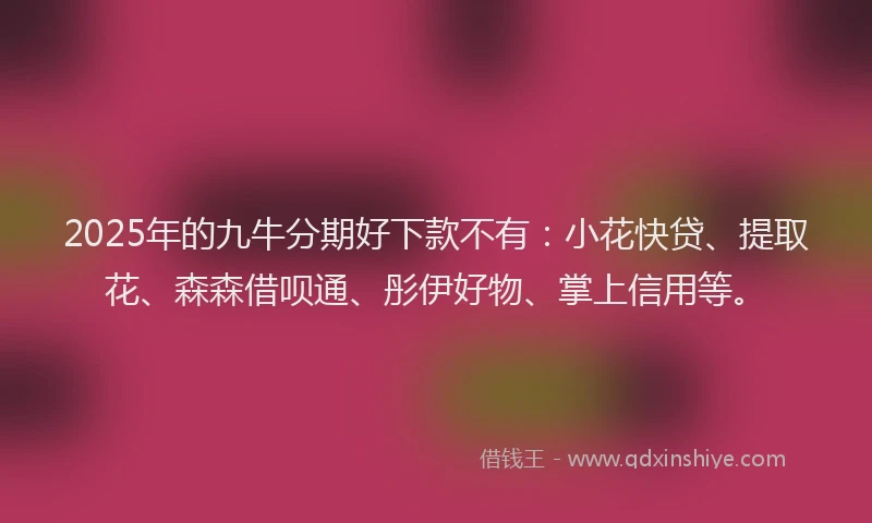 2025年的九牛分期好下款不有：小花快贷、提取花、森森借呗通、彤伊好物、掌上信用等。