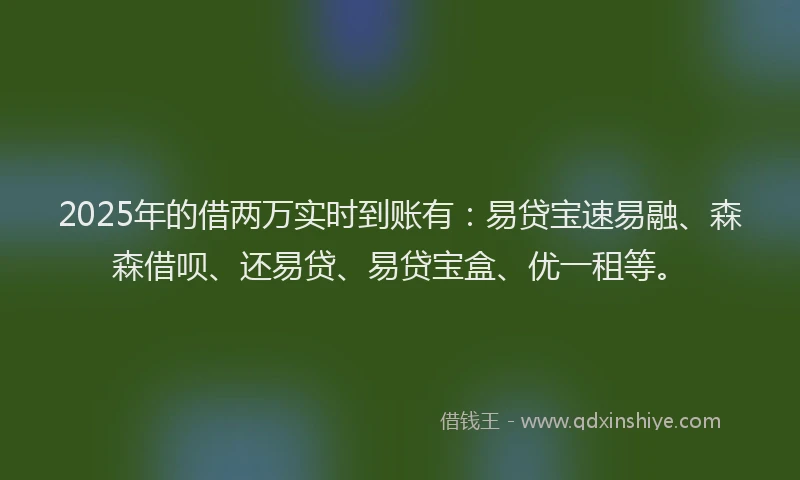 2025年的借两万实时到账有：易贷宝速易融、森森借呗、还易贷、易贷宝盒、优一租等。