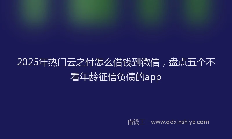 2025年热门云之付怎么借钱到微信，盘点五个不看年龄征信负债的app