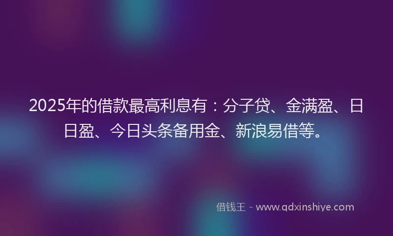 2025年的借款最高利息有：分子贷、金满盈、日日盈、今日头条备用金、新浪易借等。