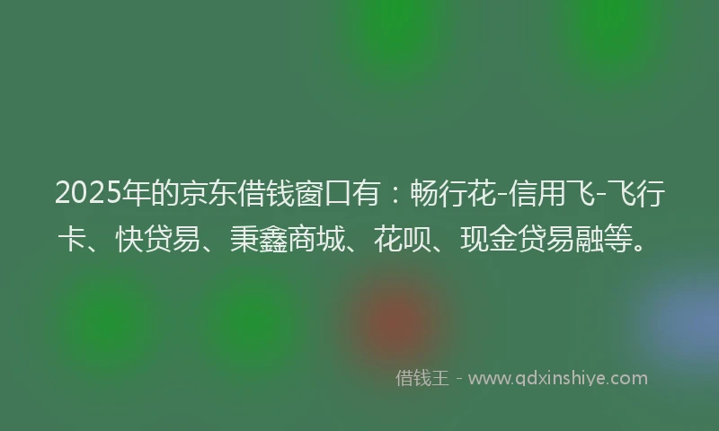 2025年的京东借钱窗口有：畅行花-信用飞-飞行卡、快贷易、秉鑫商城、花呗、现金贷易融等。