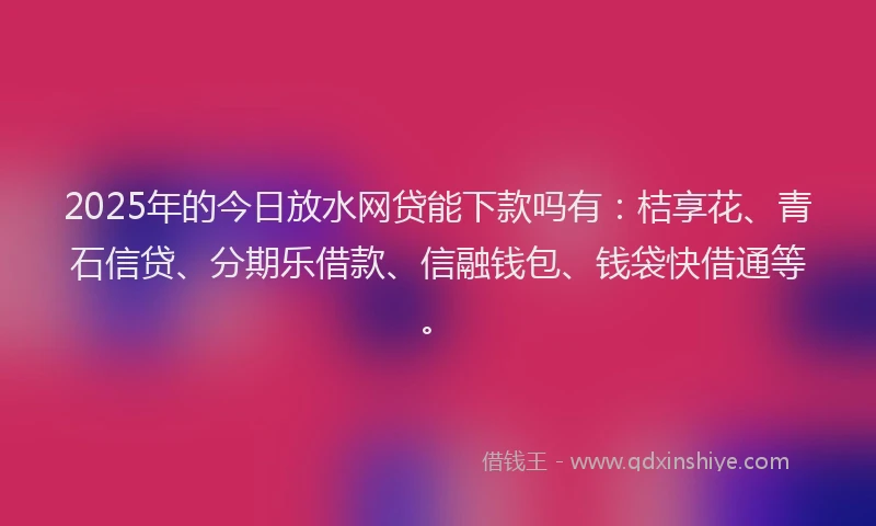 2025年的今日放水网贷能下款吗有：桔享花、青石信贷、分期乐借款、信融钱包、钱袋快借通等。