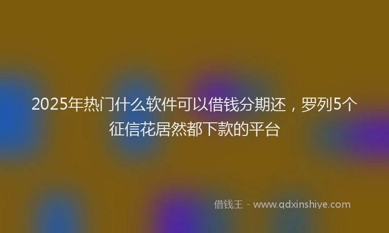 2025年热门什么软件可以借钱分期还，罗列5个征信花居然都下款的平台