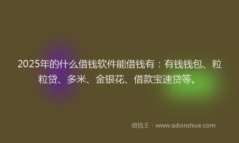 2025年的什么借钱软件能借钱有：有钱钱包、粒粒贷、多米、金银花、借款宝速贷等。