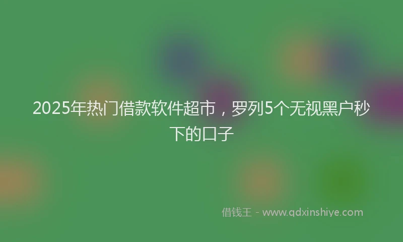 2025年热门借款软件超市，罗列5个无视黑户秒下的口子