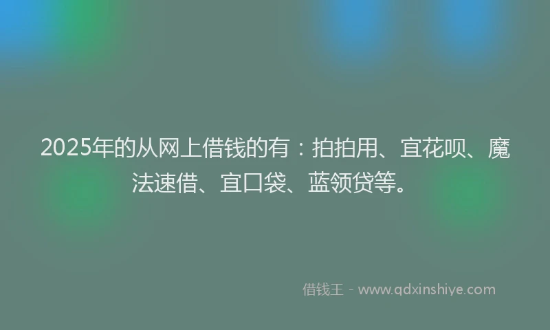 2025年的从网上借钱的有：拍拍用、宜花呗、魔法速借、宜口袋、蓝领贷等。