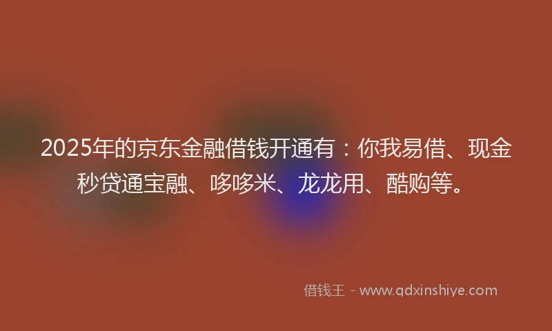 2025年的京东金融借钱开通有：你我易借、现金秒贷通宝融、哆哆米、龙龙用、酷购等。