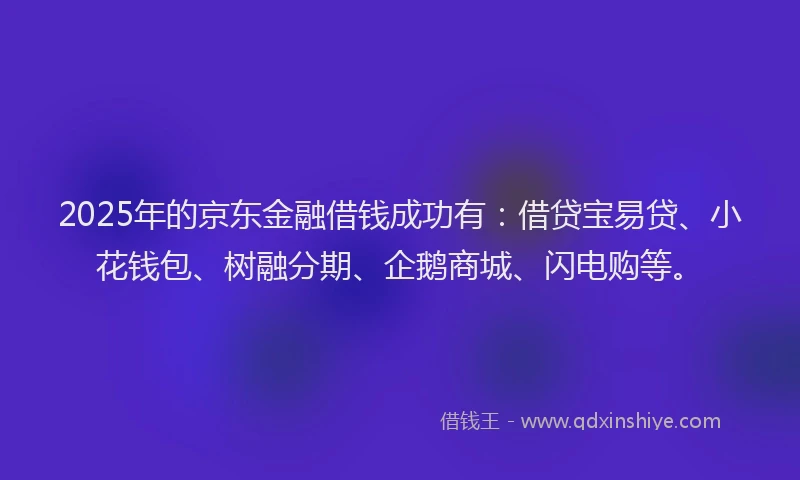 2025年的京东金融借钱成功有：借贷宝易贷、小花钱包、树融分期、企鹅商城、闪电购等。