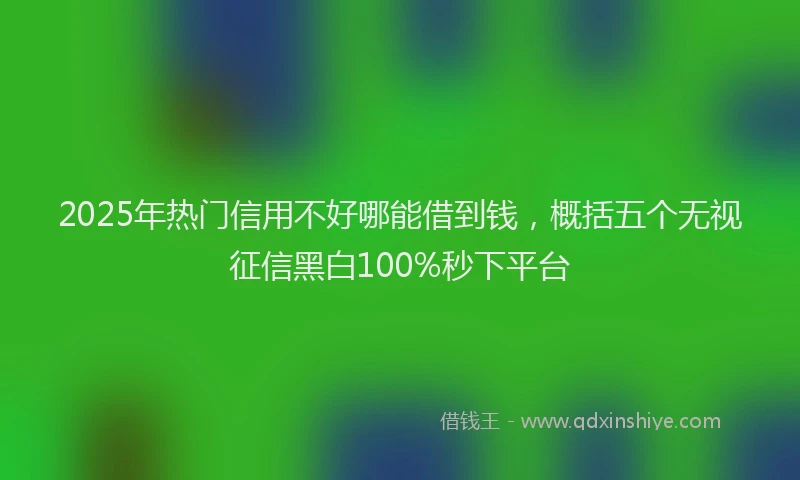 2025年热门信用不好哪能借到钱，概括五个无视征信黑白100%秒下平台