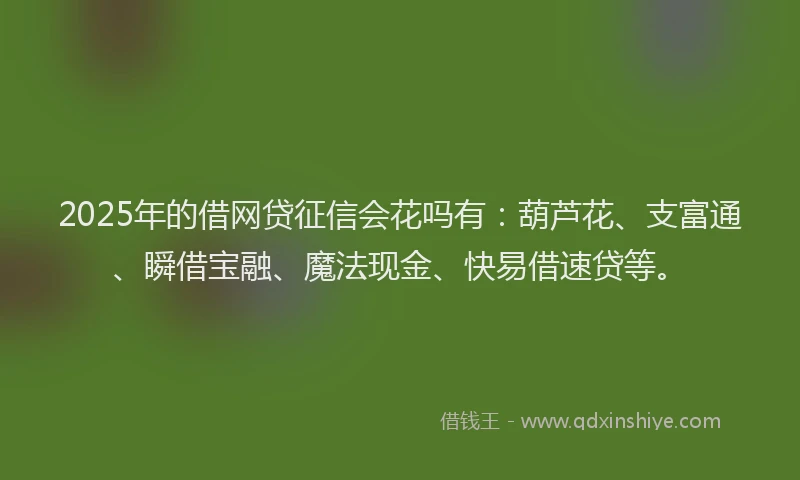 2025年的借网贷征信会花吗有：葫芦花、支富通、瞬借宝融、魔法现金、快易借速贷等。