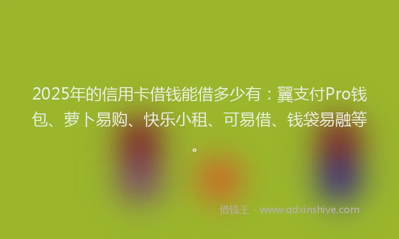 2025年的信用卡借钱能借多少有：翼支付Pro钱包、萝卜易购、快乐小租、可易借、钱袋易融等。