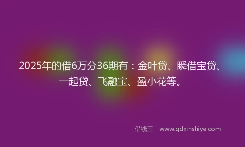 2025年的借6万分36期有：金叶贷、瞬借宝贷、一起贷、飞融宝、盈小花等。
