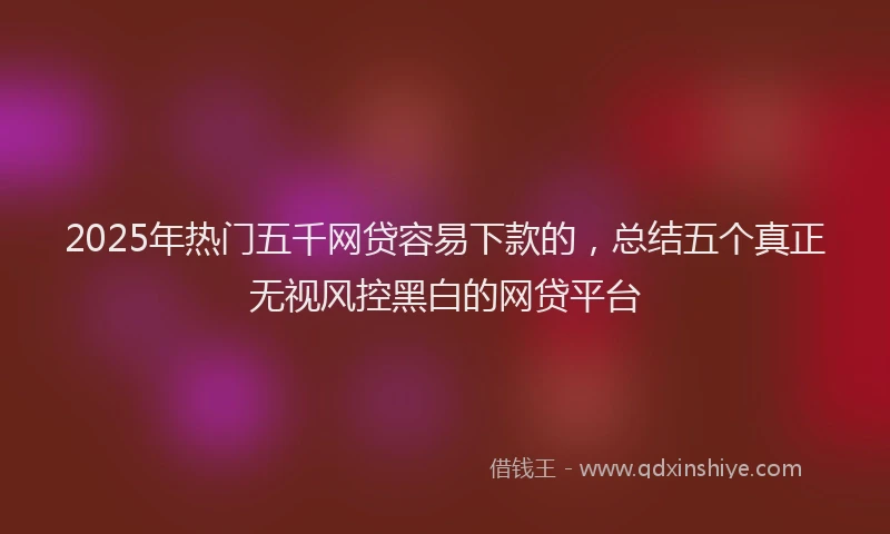 2025年热门五千网贷容易下款的，总结五个真正无视风控黑白的网贷平台