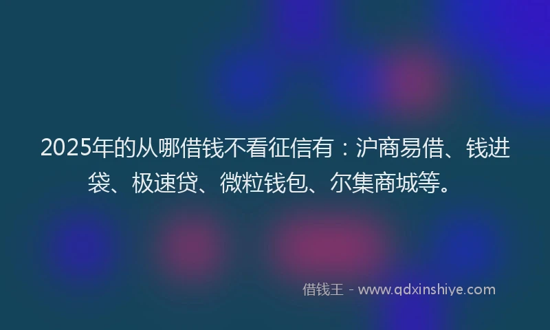 2025年的从哪借钱不看征信有：沪商易借、钱进袋、极速贷、微粒钱包、尔集商城等。