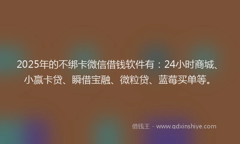 2025年的不绑卡微信借钱软件有：24小时商城、小赢卡贷、瞬借宝融、微粒贷、蓝莓买单等。